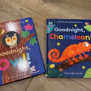 Goodnight Owl and Chameleon Books Lift & Flap Books